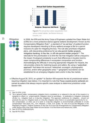 15
Development Economic.Sustainability Policy
ImpactAreas
Figure 6: The annual blue carbon sequestration from
various coastal habitats. See Restore America's
Estuaries, n.d.
In 2008, the EPA and the Army Corps of Engineers updated the Clean Water Act
(CWA) for a more protective stance against wetland development. Known as the
Compensatory Mitigation Rule11, a standard of “no net loss” of wetland function
requires developers intending to fill any wetland acreage to file for a permit
inclusive of a plan for mitigating the loss. The rule also prioritizes mitigation
plans, with descending preference for on-site permit-holder projects,
mitigation banking, in-lieu fee, or off-site permit-holder projects12. The
rationale for this prioritization is to limit the risk that mitigation will be unequal to
the impact. Ecological complexity is such that differences in location tend to
mean compounding differences in ecosystem composition and function.
Acknowledging the difficulty in ensuring appropriate mitigation for impacts, the
rule provides criteria for matching buyers and sellers. By using a “watershed
approach” that takes into account “watershed, ecoregion, physiographic
province, and/or other geographic area,”13 geographic boundaries can be
established for an emerging mitigation bank and/or in­lieu fee market.
Mitigation
Effective August 28, 2015, an update14 to Section 404 expands the list of jurisdictional waters
requiring mitigation (see below). It is important to note that Texas coastal prairie wetlands are
named as waters that always require specific case analysis to determine jurisdiction under
Section 404.
11. See 33 CFR. § 332.
12. "As a general matter, compensatory mitigation that is completed on or adjacent to the site of the impacts it is
designed to offset (i.e., project­specific mitigation done by permittees... is preferable to mitigation conducted
off­site (i.e., mitigation bank or in­lieu­fee mitigation). The agencies' preference for mitigation... should not
preclude the use of a mitigation bank or in­lieu­fee mitigation when there is no practicable opportunity for on­
site compensation, or when use of a bank or in­lieu­fee mitigation is environmentally preferable to on­site
compensation" See Davis, M.L., R.H. Wayland, J Clark, S.B. Gudes. "III. Use of In­Lieu­fee Mitigation in the
Regulatory Program". Federal Guidance on the Use of In­Lieu­Fee Arrangements for Compensatory Mitigation
under Section 404 of the Clean Water Act and Section 10 of the Rivers and Harbors Act, 2000.
13. See 33 CFR § 3328(d)(6)(ii)(A)
14. See 80 FR 37053.
 