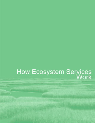 How Ecosystem Services
Work
 