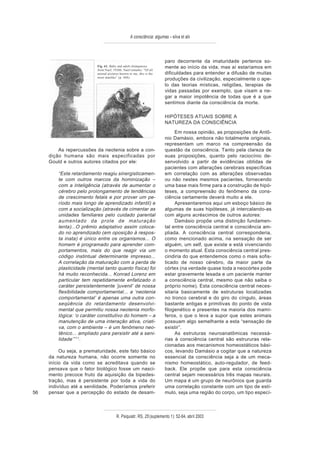 A consciência: algumas – silva et alii



                                                                        paro decorrente da imaturidade pertence so-
                           Fig. 61. Baby and adult chimpanzee           mente ao início da vida, mas aí estaríamos em
                           from Naef, 1926b. Naef remarks: “Of all
                           animal pictures known to me, this is the     dificuldades para entender a difusão de muitas
                           most manlike” (p. 448).
                                                                        produções da civilização, especialmente o ape-
                                                                        lo das teorias místicas, religiões, terapias de
                                                                        vidas passadas por exemplo, que visam a ne-
                                                                        gar a maior impotência de todas que é a que
                                                                        sentimos diante da consciência da morte.

                                                                        HIPÓTESES ATUAIS SOBRE A
                                                                        NATUREZA DA CONSCIÊNCIA

                                                                             Em nossa opinião, as proposições de Antô-
                                                                        nio Damásio, embora não totalmente originais,
                                                                        representam um marco na compreensão da
         As repercussões da neotenia sobre a con-                       questão da consciência. Tanto pela clareza de
     dição humana são mais especificadas por                            suas proposições, quanto pelo raciocínio de-
     Gould e outros autores citados por ele:                            senvolvido a partir de evidências obtidas de
                                                                        pacientes com alterações cerebrais específicas
         “Este retardamento reagiu sinergisticamen-                     em correlação com as alterações observadas
         te com outros marcos da hominização –                          ou não nestes mesmos pacientes, fornecendo
         com a inteligência (através de aumentar o                      uma base mais firme para a construção de hipó-
         cérebro pelo prolongamento de tendências                       teses, a compreensão do fenômeno da cons-
         de crescimento fetais e por prover um pe-                      ciência certamente deverá muito a ele.
         ríodo mais longo de aprendizado infantil) e                         Apresentaremos aqui um esboço básico de
         com a socialização (através de cimentar as                     algumas de suas hipóteses, já intercalando-as
         unidades familiares pelo cuidado parental                      com alguns acréscimos de outros autores:
         aumentado da prole de maturação                                     Damásio propõe uma distinção fundamen-
         lenta)...O prêmio adaptativo assim coloca-                     tal entre consciência central e consciência am-
         do no aprendizado (em oposição à respos-                       pliada. A consciência central corresponderia,
         ta inata) é único entre os organismos... O                     como mencionado acima, na sensação de ser
         homem é programado para aprender com-                          alguém, um self, que existe e está vivenciando
         portamentos, mais do que reagir via um                         o momento atual. Esta consciência central pres-
         código instintual determinante impresso...                     cindiria do que entendemos como o mais sofis-
         A correlação da maturação com a perda de                       ticado de nosso cérebro, da maior parte da
         plasticidade (mental tanto quanto física) foi                  córtex (na verdade quase toda a neocórtex pode
         há muito reconhecida... Konrad Lorenz em                       estar gravemente lesada e um paciente manter
         particular tem repetidamente enfatizado o                      a consciência central, mesmo que não saiba o
         caráter persistentemente ‘juvenil’ de nossa                    próprio nome). Esta consciência central neces-
         flexibilidade comportamental... a ‘neotenia                    sitaria basicamente de estruturas localizadas
         comportamental’ é apenas uma outra con-                        no tronco cerebral e do giro do cíngulo, áreas
         seqüência do retardamento desenvolvi-                          bastante antigas e primitivas do ponto de vista
         mental que permitiu nossa neotenia morfo-                      filogenético e presentes na maioria dos mamí-
         lógica: ‘o caráter constitutivo do homem – a                   feros, o que o leva a supor que estes animais
         manutenção de uma interação ativa, criati-                     possuam algo semelhante a esta “sensação de
         va, com o ambiente – é um fenômeno neo-                        existir”.
         tênico... ampliado para persistir até a seni-                       As estruturas neuroanatômicas necessá-
         lidade’” 11.                                                   rias à consciência central são estrururas rela-
                                                                        cionadas aos mecanismos homeostáticos bási-
          Ou seja, a prematuridade, este fato básico                    cos, levando Damásio a cogitar que a natureza
     da natureza humana, não ocorre somente no                          essencial da consciência seja a de um meca-
     início da vida como se acreditava quando se                        nismo homeostático, auto-regulador, de feed-
     pensava que o fator biológico fosse um nasci-                      back. Ele propõe que para esta consciência
     mento precoce fruto da aquisição da bipedes-                       central sejam necessários três mapas neurais.
     tração, mas é persistente por toda a vida do                       Um mapa é um grupo de neurônios que guarda
     indivíduo até a senilidade. Poderíamos preferir                    uma correlação constante com um tipo de estí-
56   pensar que a percepção do estado de desam-                         mulo, seja uma região do corpo, um tipo especí-



                                        R. Psiquiatr. RS, 25'(suplemento 1): 52-64, abril 2003
 