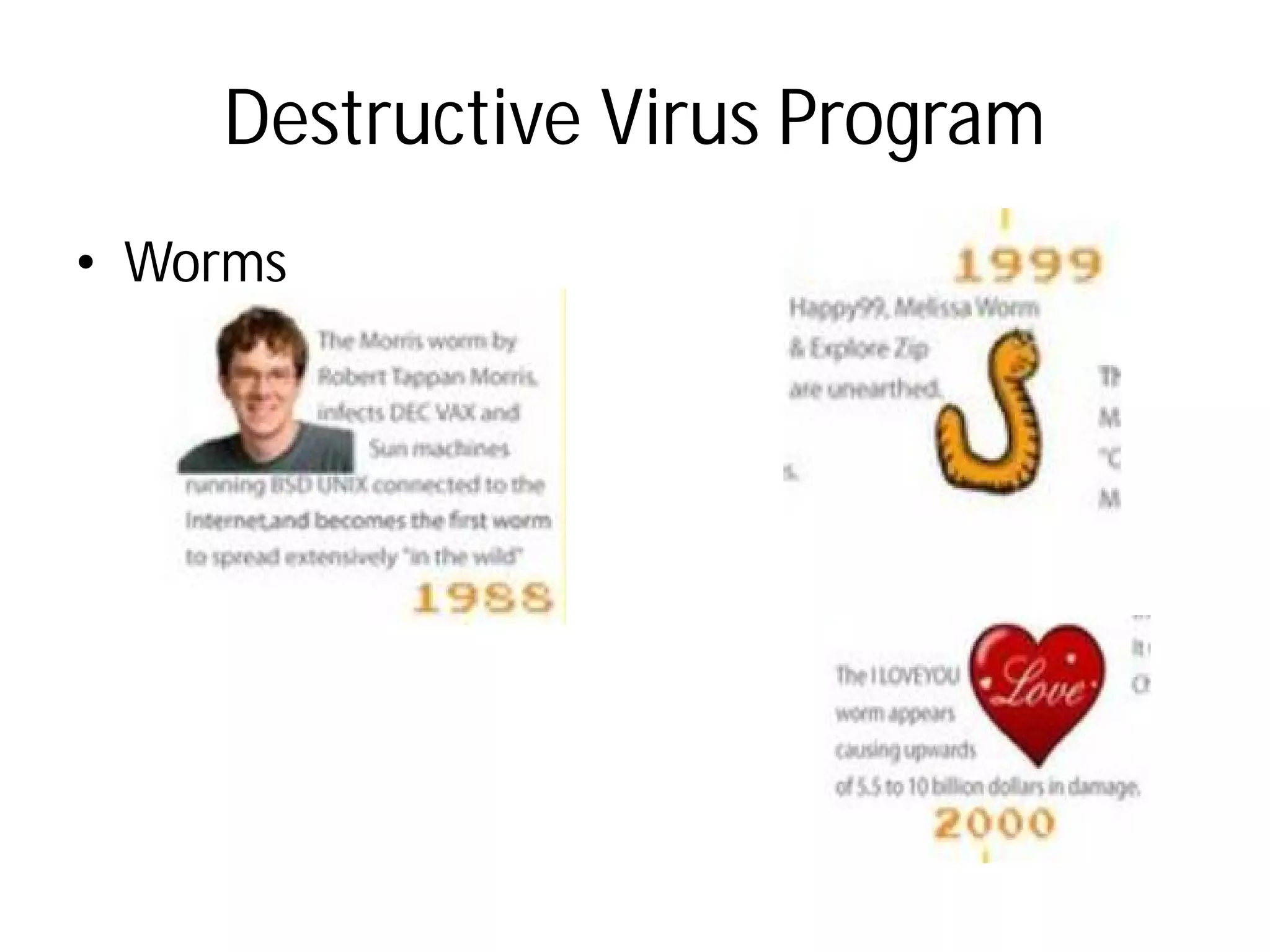 Destructive Virus Program
• Worms
Destructive Virus Program
 