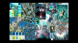 2016 Trends and Themes