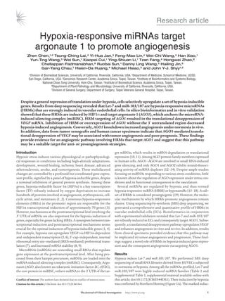Research article
	 The Journal of Clinical Investigation   http://www.jci.org	 1
Hypoxia-responsive miRNAs target
argonaute 1 to promote angiogenesis
Zhen Chen,1,2 Tsung-Ching Lai,3 Yi-Hua Jan,3 Feng-Mao Lin,4 Wei-Chi Wang,4 Han Xiao,1
Yun-Ting Wang,5 Wei Sun,1 Xiaopei Cui,1 Ying-Shiuan Li,1 Tzan Fang,4 Hongwei Zhao,6
Chellappan Padmanabhan,6 Ruobai Sun,1 Danny Ling Wang,5 Hailing Jin,6
Gar-Yang Chau,7 Hsien-Da Huang,4 Michael Hsiao,3 and John Y-J. Shyy1,2
1Division of Biomedical Sciences, University of California, Riverside, California, USA. 2Department of Medicine, School of Medicine, UCSD,
San Diego, California, USA. 3Genomics Research Center, Academia Sinica, Taipei, Taiwan. 4Institute of Bioinformatics and Systems Biology,
National Chiao Tung University, Hsin-Chu, Taiwan. 5Institute of Biomedical Science, Academia Sinica, Taipei, Taiwan.
6Department of Plant Pathology and Microbiology, University of California, Riverside, California, USA.
7Division of General Surgery, Department of Surgery, Taipei Veterans General Hospital, Taipei, Taiwan.
Despite a general repression of translation under hypoxia, cells selectively upregulate a set of hypoxia-inducible
genes. Results from deep sequencing revealed that Let-7 and miR-103/107 are hypoxia-responsive microRNAs
(HRMs) that are strongly induced in vascular endothelial cells. In silico bioinformatics and in vitro validation
showed that these HRMs are induced by HIF1α and target argonaute 1 (AGO1), which anchors the microRNA-
induced silencing complex (miRISC). HRM targeting of AGO1 resulted in the translational desuppression of
VEGF mRNA. Inhibition of HRM or overexpression of AGO1 without the 3′ untranslated region decreased
hypoxia-induced angiogenesis. Conversely, AGO1 knockdown increased angiogenesis under normoxia in vivo.
In addition, data from tumor xenografts and human cancer specimens indicate that AGO1-mediated transla-
tional desuppression of VEGF may be associated with tumor angiogenesis and poor prognosis. These findings
provide evidence for an angiogenic pathway involving HRMs that target AGO1 and suggest that this pathway
may be a suitable target for anti- or proangiogenesis strategies.
Introduction
Hypoxic stress induces various physiological or pathophysiologi-
cal responses in conditions including high-altitude adaptations,
development, wound healing, ischemic heart disease, advanced
atherosclerosis, stroke, and tumorigenesis. These multifaceted
changes are controlled by a profound but coordinated gene expres-
sion profile, signified by a panel of hypoxia-inducible genes, despite
a nominal inhibition of general protein synthesis. Among these
genes, hypoxia-inducible factor 1α (HIF1α) is a key transcription
factor (TF) robustly induced by oxygen deprivation to increase
hundreds of proteins involved in angiogenesis, erythropoiesis, cell-
cycle arrest, and metastasis (1, 2). Consensus hypoxia-responsive
elements (HREs) in the promoter region are responsible for the
HIF1α transcriptional induction of approximately 70 genes (3).
However, mechanisms at the posttranscriptional level involving the
3′ UTR of mRNAs are also important for the hypoxia induction of
genes, especially for genes lacking HREs. A synergism between tran-
scriptional induction and posttranscriptional mechanisms seems
crucial for the optimal induction of hypoxia-inducible genes (1, 4).
For example, hypoxia can upregulate VEGF via HIF1α-dependent
and -independent transcription (5, 6), 5′-cap–independent, internal
ribosomal entry site–mediated (IRES-mediated) preferential trans-
lation (7), and increased mRNA stability (8, 9).
MicroRNAs (miRNAs) are noncoding small RNAs that regulate
gene expression at the posttranscriptional level. After being pro-
cessed from their hairpin precursors, miRNAs are loaded into the
miRNA-induced silencing complex (miRISC). Consequently, Argo-
naute (AGO, also known as eukaryotic initiation factor 2C, eIF2C),
the core protein in miRISC, tethers miRNA to the 3′ UTR of the tar-
get mRNAs, which results in mRNA degradation or translational
repression (10, 11). Among AGO protein family members expressed
in human cells, AGO1–AGO4 are involved in small RNA-induced
gene silencing, and only AGO1 and AGO2 exhibit strand-dissoci-
ating activity of miRNA duplexes (12–14). Despite ample studies
focusing on miRNAs responding to various stress conditions, little
is known about the regulation of AGO expression under stress con-
ditions and its functional consequences in the vasculature.
Several miRNAs are regulated by hypoxia and thus termed
hypoxia-responsive miRNA (HRM) or hypoxamiRs (15–18). A sub-
set of HRMs is considered proangiogenic (19). However, the molec-
ular mechanisms by which HRMs promote angiogenesis remain
elusive. Using sequencing-by-synthesis (SBS) deep sequencing, we
generated a comprehensive and quantitative profile of HRMs in
vascular endothelial cells (ECs). Bioinformatics in conjunction
with experimental validation revealed that Let-7 and miR-103/107
are robustly induced in ECs and consequently target AGO1. Subse-
quently, a translational desuppression pathway upregulates VEGF
and enhances angiogenesis in vitro and in vivo. In addition, results
from clinical specimens provided evidence that this pathway may
be implicated in tumor angiogenesis and progression. These find-
ings suggest a novel role of HRMs in hypoxia-induced gene expres-
sion and the consequent angiogenesis via targeting AGO1.
Results
Hypoxia induces Let-7 and miR-103/107. We performed SBS deep
sequencing of small RNA libraries derived from HUVECs subjected
to normoxia or hypoxia. Among all the miRNAs profiled, Let-7 and
miR-103/107 were highly induced miRNA families (Table 1 and
Supplemental Table 1; supplemental material available online with
this article; doi:10.1172/JCI65344DS1). Their induction by hypoxia
was confirmed by Northern blotting (Figure 1A). The marked induc-
Conflict of interest: The authors have declared that no conflict of interest exists.
Citation for this article: J Clin Invest. doi:10.1172/JCI65344.
 