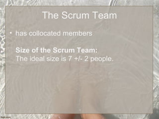 The Scrum Team
• has collocated members
Size of the Scrum Team:
The ideal size is 7 +/- 2 people.
 
