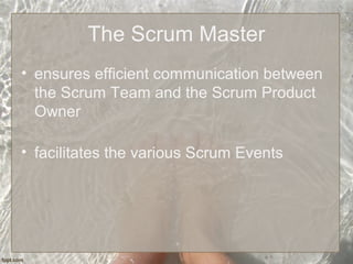 The Scrum Master
• ensures efficient communication between
the Scrum Team and the Scrum Product
Owner
• facilitates the various Scrum Events
 