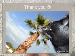 Thank you 
Angeliki Plati
 