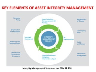 Asset Integrity Management | PDF