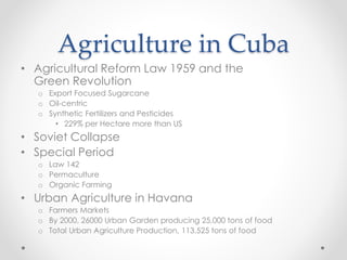 Agriculture in Cuba
• Agricultural Reform Law 1959 and the
Green Revolution
o Export Focused Sugarcane
o Oil-centric
o Synthetic Fertilizers and Pesticides
• 229% per Hectare more than US
• Soviet Collapse
• Special Period
o Law 142
o Permaculture
o Organic Farming
• Urban Agriculture in Havana
o Farmers Markets
o By 2000, 26000 Urban Garden producing 25,000 tons of food
o Total Urban Agriculture Production, 113,525 tons of food
 