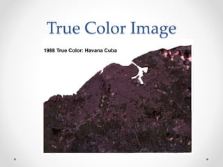 True Color Image
 