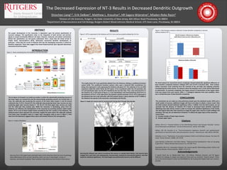 RESEARCH POSTER PRESENTATION DESIGN © 2012
www.PosterPresentations.com
The proper development of the neocortex is dependent upon the precise specification of
neuronal subtypes. This specification relies on the integration of both intrinsic and extrinsic
signals to output functionally different cell types. However, molecular and cellular mechanisms
behind this specification are still poorly understood. Here I show that the timed arrival of
trophic factor, Neurotrophin-3 (NT3), determines neocortical dendritic development. In
particular, I show that the arrival of thalamic NT3 into the developing neocortex is critical for
dendritic outgrowth. These data suggest that timed thalamocortical axon ingrowth determines
neocortical circuit formation.
ABSTRACT
INTRODUCTION
Figure 1. Axons extending from the thalamus into the neocortex
The six layers are formed in an inside-out matter in which the subcortically projecting neurons of
the lower layers are formed first and the intracoritcally projecting neurons are formed later. In
mice, the radial glia start producing the neurons of the lower layers (Layers V and VI) around
embryonic day 11 (E11). Around E15, the radial glia stop producing lower layer neurons are start
producing upper layer neurons (Layers II – IV). By E17, the final upper layer neurons are made
and the radial glia then produce glia. While the neocortex is developing, axons from the
thalamus can influence the development of the neocortex by secreting proteins called trophic
factors. NT-3 is one of those trophic factors secreted by the Crh+ nucleus of the thalamus. The
thalamocortical axons approach the neocortex roughly the point where the radial glia switches
from lower layer neurogenic state to a upper layer neurogenic state as seen in Figure 2. Prior
data from this laboratory suggests these axons extrinsically influence this neurogenesis.
RESULTS
CONCLUSIONS
1Divison of Life Sciences, Rutgers, the State University of New Jersey, 604 Allison Road Piscataway, NJ 08854
2Department of Neuroscience and Cell Biology, Rutgers-Robert Wood Johnson Medical School, 675 Hoes Lane, Piscataway, NJ 08854
Shiochee Liang1,2, Erik DeBoer2, Matthew L. Kraushar2, HR Sagara Wijeratne2, Mladen-Roko Rasin2
The Decreased Expression of NT-3 Results in Decreased Dendritic Outgrowth
Figure 3. NT3 is expressed in the thalamus of E14.5 mice and successfully ablated by Crh-Cre.
The trophic factor NT-3 was specifically ablated from the thalamus utilizing a conditional knockout
system (A/B). This conditional knockout systems relies upon a bacterial DNA recombinase Cre
being only expressed in cells expressing the thalamic-only gene Crh. The substrate of Cre are DNA
sequences called flox which flanks the NT-3 gene. If Cre is produced under the Crh promoter, the
Cre will specifically splice out the NT-3 flanked by the two flox sites. Thus, only removing NT-3 in
the thalamus (C). In left panel of Figure 3, in situ hybridzation and immunostaining shows NT-3 in
the thalamus at E14.5. In the right panel, the thalamic specific promoter of Cre, Crh is expressed in
the thalamus but not in the neocortex. qRT-PCR analysis shows a sharp reduction of NT-3 mRNA in
the thalamus but spared in the neocortex, chroid plexus (Ch Plx) (D).
Figure 4. Image of a neuron and its reconstructed tracing done through Neurolucida.
Neurolucida software was used to reconstruct the neuron in a double blind fashion. Five neurons were
imaged from each brain and subsequently reconstructed, analyzed by Neurolucida Explorer, and then
tested for statistical significance. The total length was preliminarily found to not be different.
Figure 5. Sholl Analysis reveals a reduction in basal dendrite complexity in neurons
without thalamic NT-3
The Sholl analysis for neocortical neuron complexity showed statistically significant difference of
basal dendrite complexity between wildtype (WT) and Crh-NT-3 knockout (KO). Sholl analysis
utilizes concentric circle centering from the centroid of the cell body and radiating outwards
encompassing the entire neuron. An instance where the dendrite cross a circle will be determined
an intersection. To ascertain complexity, the largest amount of intersections at the largest radius
circle was chosen from each neuron. With n = 2 biological replicates from each condition, there
was a marked decrease in basal dendrite complexity.
The conclusions we can make are only preliminary based upon the statistical results. With such a
small number of neurons, additional images will have to be taken to obtain a clearer result. Only
the Sholl analysis showed statistical significance with p = 0.0018. From the Sholl analysis, we can
conclude that the absence of thalamic NT-3 leads to decreased basal dendritic outgrowth.
Obtaining more data will be crucial in order to increase the statistical significance of the results.
The next logical steps after that would be to image the upper layer neurons in both wildtype and
knockout. This way, we can determine if thalamic T-3 affects the upper layers of the neocortex.
Future Plans:
1) Increase number of lower layer neurons
2) Analyze upper layers
Citations
DeBoer, EM et al. "Prenatal Deletion of the RNA-Binding Protein HuD Disrupts Postnatal Cortical
Circuit Maturation and Behavior." Journal of Neuroscience. (2014): 3674-3686.
DeBoer, EM, ML Kraushar et al. "Post-transcriptional regulatory elements and spatiotemporal
specification of neocortical stem cells and projection neurons." Neuroscience. 248. (2013): 499-528.
DeStefano A et al. “Replication of association between ELAVL4 and Parkinson disease: the Gene PD
study.” Human Genetics. (2008): 124: 95-99.
Lopez-Bendito, Guillermina, and Zoltan Molnar. "Thalamocortical Development: How are we going
to get there?." Nature Reviews Neuroscience 4 (): 276-289. Print.
Noureddine MA et al. Association between the neuron-specific RNA-binding protein ELAVL4 and
Parkinson disease. Human Genetics. (2005): 117:27-33.
A special thank you to Mladen-Roko Rasin, Erik DeBoer, Matthew Krausher, and HR Sagara
Wijeratne for helping me design and implement these past two semester’ research project. Thank
you to the Aresty Research Center and NIH/NINDS for the funding that helped make such research
possible.
Acknowledgements
Neurons from in the upper layers and lower layers of the neocortex share the same morphology.
What differentiates them are their dendrites, which can vary in total length, number of
branches, and overall complexity. These variations help determine the function of the neuron.
Figure 2. Image of dendrites
A
B
C
D
 
