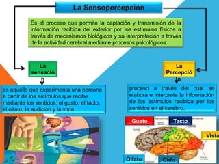 Es el proceso que permite la captación y transmisión de la
información recibida del exterior por los estímulos físicos a
través de mecanismos biológicos y su interpretación a través
de la actividad cerebral mediante procesos psicológicos.
es aquello que experimenta una persona
a partir de los estímulos que recibe
mediante los sentidos: el gusto, el tacto,
el olfato, la audición y la vista.
La
Percepció
n
La
sensació
n
proceso a través del cual se
elabora e interpreta la información
de los estímulos recibida por los
sentidos en el cerebro.
Vista
Gusto Tacto
Olfato Oído
 