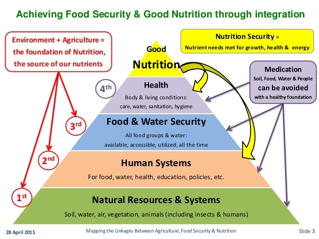 food security nutrition research