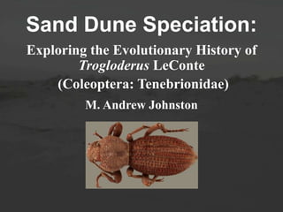 Sand Dune Speciation: 
Exploring the Evolutionary History of 
Trogloderus LeConte 
(Coleoptera: Tenebrionidae) 
M. Andrew Johnston 
 
