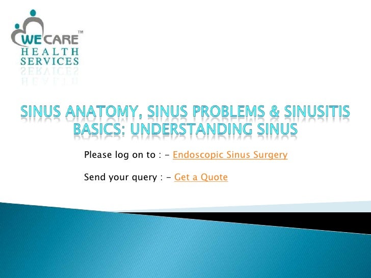 Sinus Anatomy, Sinus Problems & Sinusitis Basics Understanding Sinus