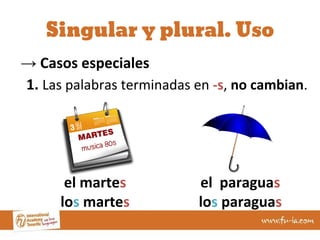 sustantivos en español: singular y plural -