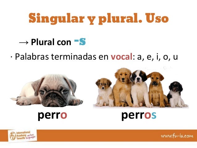Singular y plural. Uso 
→ Plural con -s 
· Palabras terminadas en vocal: a, e, i, o, u 
perro perros