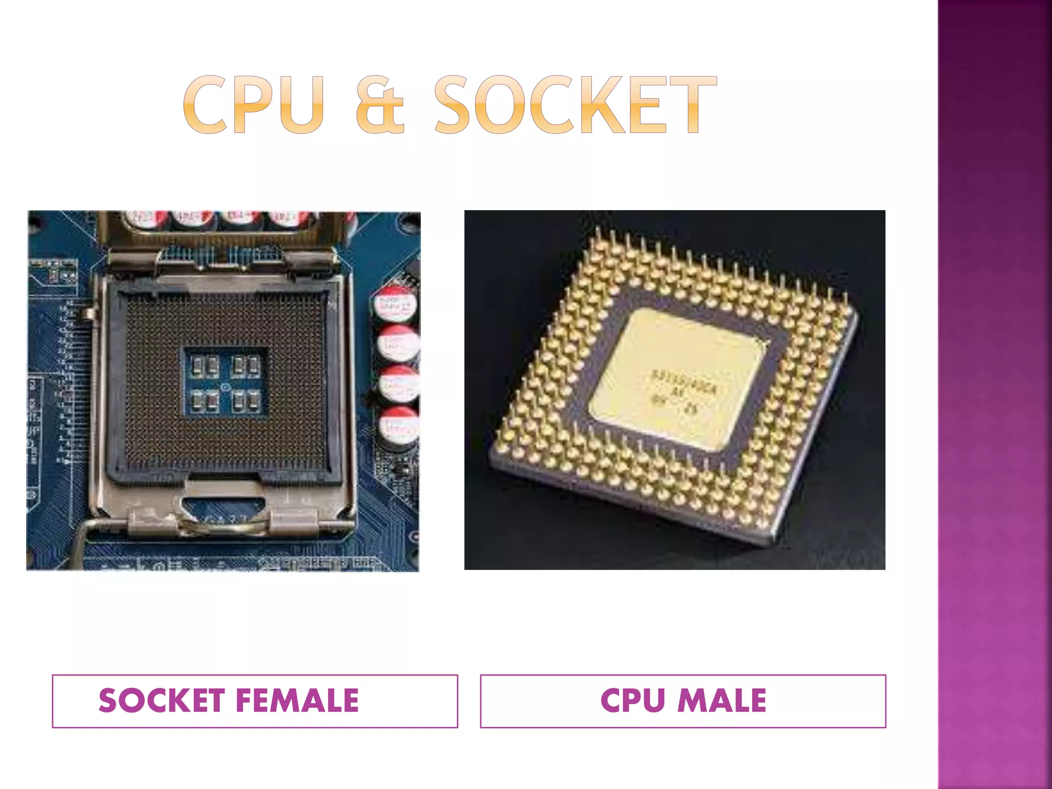 SOCKET FEMALE CPU MALE 
 