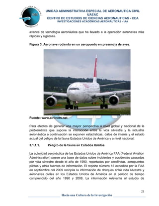 UNIDAD ADMINISTRATIVA ESPECIAL DE AERONAUTICA CIVIL 
UAEAC 
CENTRO DE ESTUDIOS DE CIENCIAS AERONAUTICAS - CEA 
INVESTIGACIONES ACADÉMICAS AERONÁUTICAS - IAA 
avance de tecnología aeronáutica que ha llevado a la operación aeronaves más 
rápidas y sigilosas. 
Para efectos de generar una mayor perspectiva a nivel global y nacional de la 
problemática que supone la interacción entre la vida silvestre y la industria 
aeronáutica a continuación se exponen estadísticas, datos de interés y el estado 
actual del peligro de la fauna Estados Unidos de América y a nivel nacional. 
La autoridad aeronáutica de los Estados Unidos de América FAA (Federal Aviation 
Administration) posee una base de datos sobre incidentes y accidentes causados 
por vida silvestre desde el año de 1990, reportados por aerolíneas, aeropuertos 
pilotos y otras fuentes de información. El reporte número 15 expedido por la FAA 
en septiembre del 2009 recopila la información de choques entre vida silvestre y 
aeronaves civiles en los Estados Unidos de América en el periodo de tiempo 
comprendido del año 1990 y 2008. La información relevante al estudio de 
21 
Figura 3. Aeronave rodando en un aeropuerto en presencia de aves. 
Fuente: www.airliners.net 
3.1.1.1. Peligro de la fauna en Estados Unidos 
Hacia una Cultura de la Investigación 
 