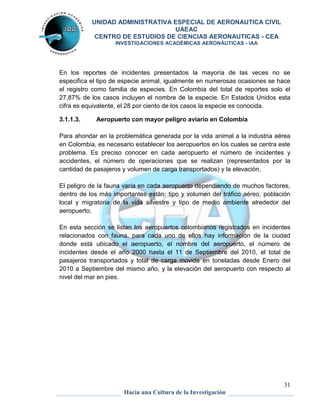 UNIDAD ADMINISTRATIVA ESPECIAL DE AERONAUTICA CIVIL 
UAEAC 
CENTRO DE ESTUDIOS DE CIENCIAS AERONAUTICAS - CEA 
INVESTIGACIONES ACADÉMICAS AERONÁUTICAS - IAA 
En los reportes de incidentes presentados la mayoría de las veces no se 
especifica el tipo de especie animal, igualmente en numerosas ocasiones se hace 
el registro como familia de especies. En Colombia del total de reportes solo el 
27,87% de los casos incluyen el nombre de la especie. En Estados Unidos esta 
cifra es equivalente, el 28 por ciento de los casos la especie es conocida. 
Para ahondar en la problemática generada por la vida animal a la industria aérea 
en Colombia, es necesario establecer los aeropuertos en los cuales se centra este 
problema. Es preciso conocer en cada aeropuerto el número de incidentes y 
accidentes, el número de operaciones que se realizan (representados por la 
cantidad de pasajeros y volumen de carga transportados) y la elevación. 
El peligro de la fauna varía en cada aeropuerto dependiendo de muchos factores, 
dentro de los más importantes están: tipo y volumen del tráfico aéreo, población 
local y migratoria de la vida silvestre y tipo de medio ambiente alrededor del 
aeropuerto. 
En esta sección se listan los aeropuertos colombianos registrados en incidentes 
relacionados con fauna, para cada uno de ellos hay información de la ciudad 
donde está ubicado el aeropuerto, el nombre del aeropuerto, el número de 
incidentes desde el año 2000 hasta el 11 de Septiembre del 2010, el total de 
pasajeros transportados y total de carga movida en toneladas desde Enero del 
2010 a Septiembre del mismo año, y la elevación del aeropuerto con respecto al 
nivel del mar en pies. 
31 
3.1.1.3. Aeropuerto con mayor peligro aviario en Colombia 
Hacia una Cultura de la Investigación 
 