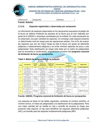 UNIDAD ADMINISTRATIVA ESPECIAL DE AERONAUTICA CIVIL 
UAEAC 
CENTRO DE ESTUDIOS DE CIENCIAS AERONAUTICAS - CEA 
INVESTIGACIONES ACADÉMICAS AERONÁUTICAS - IAA 
La información de especies observadas en los aeropuertos expuestos al peligro de 
la fauna se obtiene mediante los estudios de la fauna que se han realizado por 
parte de la UAEAC o empresas contratadas por la entidad. En cada aeropuerto se 
ha observado una gran cantidad de especies, sin embargo cada especie presenta 
un determinado nivel de riesgo para las operaciones aéreas. Con el fin de evaluar 
las especies que son de mayor riesgo se lista la fauna con grado de altamente 
peligrosa y medianamente peligrosa y se omite nombrar especies de poca y nula 
peligrosidad. Esta clasificación de riesgo está dada por la matriz de peligrosidad 
que se encuentra a continuación, originalmente proviene del programa nacional 
de limitación de fauna en aeropuertos. 
Las especies se listan en las tablas siguientes; contienen el nombre científico, el 
nombre común, el índice de peligrosidad y la clasificación de la peligrosidad. Para 
una mejor claridad del se resalta en rojo y amarillo de acuerdo al riesgo que 
presenta cada especie; el rojo para identificar las especies altamente peligrosas 
(AP) y el amarillo para las especies medianamente peligrosas (MP). 
38 
Villavicencio Vanguardia Gallinazo 
Fuente: Autores 
3.1.2.2. Especies registradas u observadas por aeropuerto 
Tabla 3. Matriz de peligrosidad de la avifauna 
Fuente: UAEAC, Programa nacional de limitación de fauna en aeropuertos 
Hacia una Cultura de la Investigación 
 