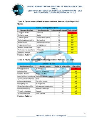 UNIDAD ADMINISTRATIVA ESPECIAL DE AERONAUTICA CIVIL 
UAEAC 
CENTRO DE ESTUDIOS DE CIENCIAS AERONAUTICAS - CEA 
INVESTIGACIONES ACADÉMICAS AERONÁUTICAS - IAA 
39 
Tabla 4. Fauna observada en el aeropuerto de Arauca – Santiago Pérez 
Quiroz 
Arauca – Santiago Pérez Quiroz 
Nombre cientifico Nombre común Indice de peligrosidad Peligrosidad 
Coragyps atratus Gallinazo 20 AP 
Cathartes aura Guala 14 MP 
Crotophaga ani Garrapatero común 12 MP 
Crotophaga sulcirostris Garrapatero 12 MP 
Bubulcus ibis Garcita del Ganado 11 MP 
Forpus passerinnus Loro pequeño 11 MP 
Milvago chimachima Pigua 11 MP 
Phalacrocorax brasilianus Pato codúa 11 MP 
Vanellus chilensis Alcaraván 11 MP 
Fuente: Autores 
Tabla 5. Fauna observada en el aeropuerto de Armenia – El Edén 
Armenia – El Edén 
Nombre científico Nombre común Índice de peligrosidad Peligrosidad 
Coragyps atratus Gallinazo 17 AP 
Bubulcus ilbis Garcita del ganado 13 MP 
Vanellus chilensis Pellar Teru-teru 13 MP 
Pygochelidon cyanoleuca Golondrina azul y blanca 12 MP 
Tyrannus melancholicus Sirirí 12 MP 
Columbina talpacoti Tortolita común 11 MP 
Crotophaga ani Garrapatero 11 MP 
Myiarchus tubercullifer Atrapamoscas capinegro 11 MP 
Pionus menstruus Cotorra cabeciazul 11 MP 
Thraupis episcopus Azulejo 11 MP 
Tyrannus savanna Sirirí tijereta 11 MP 
Fuente: Autores 
Hacia una Cultura de la Investigación 
 