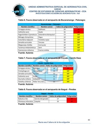 UNIDAD ADMINISTRATIVA ESPECIAL DE AERONAUTICA CIVIL 
UAEAC 
CENTRO DE ESTUDIOS DE CIENCIAS AERONAUTICAS - CEA 
INVESTIGACIONES ACADÉMICAS AERONÁUTICAS - IAA 
40 
Tabla 6. Fauna observada en el aeropuerto de Bucaramanga - Palonegro 
Bucaramanga – Palonegro 
Nombre científico Nombre común Índice de peligrosidad Peligrosidad 
Coragyps atratus Gallinazo 20 AP 
Cathartes aura Guala 16 AP 
Pygochelidon Cyanoleuca Golondrina blanquiaul 13 MP 
Milvago chimachima Pigua 10 MP 
Columbina talpacoti Tortolita rojiza 10 MP 
Zenaida auriculata Torcaza 10 MP 
Megascops choliba Currucutú 10 MP 
Tyrannus melancholicus Sirirí 10 MP 
Cyanocorax violaceus Cuervo violeta 10 MP 
Fuente: Autores 
Tabla 7. Fauna observada en el aeropuerto de Cúcuta - Camilo Daza 
Cúcuta - Camilo Daza 
Nombre científico Nombre común Índice de peligrosidad Peligrosidad 
Coragyps atratus Gallinazo 16 AP 
Crotophaga ani Garrapatero 13 MP 
Zenaida auriculata Torcaza 12 MP 
Cathartes aura Guala 11 MP 
Sturnella militaris Soldadito 11 MP 
Vanellus chilensis Pellar Teru-teru 11 MP 
Fuente: Autores 
Tabla 8. Fauna observada en el aeropuerto de Ibagué - Perales 
Ibagué – Perales 
Nombre científico Nombre común Índice de peligrosidad Peligrosidad 
Bubulcus ibis Garcita del ganado 17 AP 
Phimosus infuscatus Coquito 16 AP 
Fuente: Autores 
Hacia una Cultura de la Investigación 
 