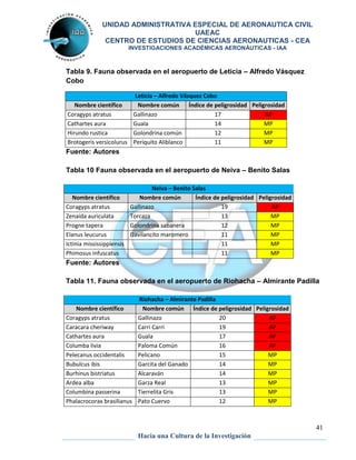 UNIDAD ADMINISTRATIVA ESPECIAL DE AERONAUTICA CIVIL 
UAEAC 
CENTRO DE ESTUDIOS DE CIENCIAS AERONAUTICAS - CEA 
INVESTIGACIONES ACADÉMICAS AERONÁUTICAS - IAA 
Tabla 11. Fauna observada en el aeropuerto de Riohacha – Almirante Padilla 
41 
Tabla 9. Fauna observada en el aeropuerto de Leticia – Alfredo Vásquez 
Cobo 
Leticia – Alfredo Vásquez Cobo 
Nombre científico Nombre común Índice de peligrosidad Peligrosidad 
Coragyps atratus Gallinazo 17 AP 
Cathartes aura Guala 14 MP 
Hirundo rustica Golondrina común 12 MP 
Brotogeris versicolurus Periquito Aliblanco 11 MP 
Fuente: Autores 
Tabla 10 Fauna observada en el aeropuerto de Neiva – Benito Salas 
Neiva – Benito Salas 
Nombre científico Nombre común Índice de peligrosidad Peligrosidad 
Coragyps atratus Gallinazo 19 AP 
Zenaida auriculata Torcaza 13 MP 
Progne tapera Golondrina sabanera 12 MP 
Elanus leucurus Gavilancito maromero 11 MP 
Ictinia mississippiensis 11 MP 
Phimosus infuscatus 11 MP 
Fuente: Autores 
Riohacha – Almirante Padilla 
Nombre científico Nombre común Índice de peligrosidad Peligrosidad 
Coragyps atratus Gallinazo 20 AP 
Caracara cheriway Carri Carri 19 AP 
Cathartes aura Guala 17 AP 
Columba livia Paloma Común 16 AP 
Pelecanus occidentalis Pelicano 15 MP 
Bubulcus ibis Garcita del Ganado 14 MP 
Burhinus bistriatus Alcaraván 14 MP 
Ardea alba Garza Real 13 MP 
Columbina passerina Tierrelita Gris 13 MP 
Phalacrocorax brasilianus Pato Cuervo 12 MP 
Hacia una Cultura de la Investigación 
 