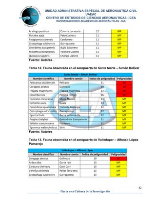 UNIDAD ADMINISTRATIVA ESPECIAL DE AERONAUTICA CIVIL 
UAEAC 
CENTRO DE ESTUDIOS DE CIENCIAS AERONAUTICAS - CEA 
INVESTIGACIONES ACADÉMICAS AERONÁUTICAS - IAA 
Tabla 12. Fauna observada en el aeropuerto de Santa Marta – Simón Bolívar 
42 
Aratinga pertinax Cotorra carasucia 12 MP 
Platalea ajaja Pato Cuchara 11 MP 
Patagioenas corensis Cardonera 11 MP 
Crotophaga sulcirostris Garrapatero 11 MP 
Chordeiles acutipennis Bujío Sabanero 11 MP 
Molothrus bonariensis Yolofo o Golofio 11 MP 
Quiscalus lugubris Chango Llanero 11 MP 
Fuente: Autores 
Santa Marta – Simón Bolívar 
Nombre científico Nombre común Índice de peligrosidad Peligrosidad 
Pelecanus occidentalis Pelícano 21 AP 
Coragyps atratus Gallinazo 19 AP 
Fregata magnificens Fragata magnífica 17 AP 
Columba livia Paloma común 16 AP 
Quiscalus mexicanus Maria Mulata 14 MP 
Cathartes aura Guala 13 MP 
Columbina squammata Tortolita Colilarga 12 MP 
Crotophaga sulcirrostris Garrapatero 12 MP 
Egretta thula Garza patiamarilla 12 MP 
Progne chalybea Golondrina Campanario 11 MP 
Saltator coerulescens Papayero 11 MP 
Tyrannus melancholicus Siriri 11 MP 
Fuente: Autores 
Tabla 13. Fauna observada en el aeropuerto de Valledupar – Alfonso López 
Pumarejo 
Valledupar – Alfonso López 
Nombre científico Nombre común Índice de peligrosidad Peligrosidad 
Coragyps atratus Gallinazo 19 AP 
Ardea alba Garza real 13 MP 
Caracara cheriway Carri Carri 13 MP 
Vanellus chilensis Pellar Teru-teru 13 MP 
Crotophaga sulcirostris Garrapatero 13 MP 
Hacia una Cultura de la Investigación 
 