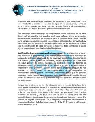 UNIDAD ADMINISTRATIVA ESPECIAL DE AERONAUTICA CIVIL 
UAEAC 
CENTRO DE ESTUDIOS DE CIENCIAS AERONAUTICAS - CEA 
INVESTIGACIONES ACADÉMICAS AERONÁUTICAS - IAA 
En cuanto a la eliminación del suministro de agua para la vida silvestre se puede 
hacer mediante el drenaje de cuerpos de agua en los aeropuertos, control de 
lagos u otros cuerpos de agua, uso de barreras físicas y el mantenimiento 
adecuado de las zanjas de drenaje para evitar el estancamiento. 
Ésta estrategia primer estrategia se complementa con la evaluación de los sitios 
dentro del aeropuertos que pueden servir para refugio, abrigo o anidacion, 
posteriormente se eliminan los atractivos hacia la fauna de éstas zonas. Lugares 
como hangares y algunos espacios específicos de edificios deben ser evaluados y 
controlados. Alguna vegetación en las inmediaciones de los aeropuertos es ideal 
para la construcción de nidos por parte de las aves; debe controlarse o usarse 
alguna vegetación no atractiva hacia la vida silvestre. 
Modificación de programas de vuelo de aeronaves: Son medidas que se toman 
para minimizar el peligro de la fauna mediante restricciones en la operación del 
aeropuerto. A determinadas horas del día hay mayor probabilidad de presencia de 
vida silvestre (debido a traslados habituales), es posible restringir las operaciones 
por algún periodo de tiempo. También es posible modificar los horarios de 
despegue y aterrizaje trasladándolos para horarios nocturnos, en estas horas la 
presencia de aves disminuye. Cuando exista alguna presencia irregular de vida 
silvestre por algún motivo en las inmediaciones de un aeropuerto, los 
controladores aéreos pueden suspender operaciones hasta que el personal 
encargado realice maniobras de dispersión de la vida silvestre. Es posible plantear 
cambio de rutas en las aeronaves para evitar los pasos cotidianos de vida silvestre 
por algún sector. 
Aunque esta medida no es la más adecuada para el manejo del peligro de la 
fauna, puede usarse para disminuir la probabilidad de impacto entre vida silvestre 
y aeronaves. Especialmente en aeropuertos en donde no hay un control activo de 
la fauna. Hay varias limitaciones; solo puede ser empleada cuando existe 
flexibilidad de horario y una baja operación, es decir en aeropuertos con alta 
operación las modificaciones a los programas de vuelo son limitadas o nulas. Por 
ejemplo, en Bogotá, Barranquilla, Cali, Cartagena y Rionegro se ha demostrado la 
existencia del peligro de la fauna (secciones 3.1.1.3 y 3.1.2.1) pero el tráfico aéreo 
es alto (sección 3.1.1.3). 
47 
Hacia una Cultura de la Investigación 
 