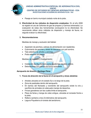 UNIDAD ADMINISTRATIVA ESPECIAL DE AERONAUTICA CIVIL 
UAEAC 
CENTRO DE ESTUDIOS DE CIENCIAS AERONAUTICAS - CEA 
INVESTIGACIONES ACADÉMICAS AERONÁUTICAS - IAA 
2. Efectividad de los métodos de dispersión empleados: En el año 2008 
se registro el uso de Cañones de gas de propano y Caninos entrenados. La 
evaluación de estas dos herramientas concluyeron la no efectividad. Se 
recomienda utilizar otros métodos de dispersión y manejo de fauna, en 
seguida evaluar su efectividad. 
 Arboles ubicados en el costado Sur a lo largo de la pista. 
 Zona de pastizales dentro del aeropuerto. 
 En barrios del Noroeste y nororiente del aeropuerto existe la cría y 
 Fincas ganaderas con las cuales limita el aeropuerto. 
 Plaza de ferias y manga de coleo antigua, ubicadas al noroeste frente a 
55 
 Pasaje en barrio municipal costado norte de la pista. 
3. Recomendaciones 
Medidas de manejo y exclusión del hábitat: 
 Aspersión de perchas y aéreas de alimentación con repelentes. 
 Cubrimiento de perchas y áreas de descanso con poli sombra. 
 Tala selectiva de arboles y perchas. 
 Poda selectiva de pastos. 
Medidas de repulsión y hostigamiento: 
 Instalación de Sky Dancers como repelentes visuales activos. 
 Detonaciones con pólvora de forma controlada. 
Aeropuerto de Arauca – Santiago Pérez 
1. Focos de atracción de la fauna en el aeropuerto y áreas aledañas 
sacrificio de animales sin adecuado manejo de desechos. 
Hacia una Cultura de la Investigación 
la pista. 
 Relleno sanitario a tres (3) kilómetros del aeropuerto. 
 Laguna Piquetierra al noreste del aeródromo. 
 