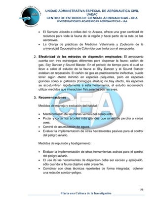 UNIDAD ADMINISTRATIVA ESPECIAL DE AERONAUTICA CIVIL 
UAEAC 
CENTRO DE ESTUDIOS DE CIENCIAS AERONAUTICAS - CEA 
INVESTIGACIONES ACADÉMICAS AERONÁUTICAS - IAA 
 El Samuro ubicado a orillas del río Arauca, ofrece una gran cantidad de 
recursos para toda la fauna de la región y hace parte de la ruta de las 
aeronaves. 
 La Granja de prácticas de Medicina Veterinaria y Zootecnia de la 
2. Efectividad de los métodos de dispersión empleados: El aeropuerto 
cuenta con tres estrategias diferentes para dispersar la fauna; cañón de 
gas, Sky Dancer y Sound Blaster. En el periodo de tiempo para el cual se 
llevo a cabo el estudio de la fauna el Sky Dancer y el Sound Blaster 
estaban en reparación. El cañón de gas es prácticamente inefectivo, puede 
tener algún efecto mínimo en especies pequeñas, pero en especies 
grandes como el gallinazo (Coragyps atratus) no hay efecto, las especies 
se acostumbran rápidamente a esta herramienta, el estudio recomienda 
utilizar medidas que interactúen físicamente con las aves. 
 Mantenimiento de las zonas verdes del aeropuerto. 
 Podar y cortar los árboles más grandes que sirven de percha a varias 
56 
universidad Cooperativa de Colombia que limita con el aeropuerto. 
3. Recomendaciones 
Medidas de manejo y exclusión del hábitat: 
Hacia una Cultura de la Investigación 
aves. 
 Control de acumulación de aguas. 
 Evaluar la implementación de otras herramientas pasivas para el control 
del peligro aviario. 
Medidas de repulsión y hostigamiento: 
 Evaluar la implementación de otras herramientas activas para el control 
del peligro aviario. 
 El uso de las herramientas de dispersión debe ser escaso y apropiado, 
sólo cuando la fauna objetivo esté presente. 
 Combinar con otras técnicas repelentes de forma integrada; obtener 
una relación sonido−peligro. 
 