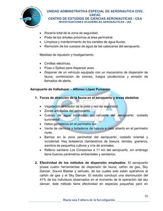 UNIDAD ADMINISTRATIVA ESPECIAL DE AERONAUTICA CIVIL 
UAEAC 
CENTRO DE ESTUDIOS DE CIENCIAS AERONAUTICAS - CEA 
INVESTIGACIONES ACADÉMICAS AERONÁUTICAS - IAA 
 Cintillas eléctricas. 
 Púas o Spikes para dispersar aves. 
 Disponer de un vehículo equipado con un mecanismo de dispersión de 
fauna; combinación de sirenas, fuegos pirotécnicos y emisión de 
llamados de alerta. 
 Vegetación alrededor de la pista y red de seguridad. 
 Zonas arboladas del aeropuerto. 
 Cuerpo de agua localizado en cercanía del aeropuerto; costado 
58 
 Rocería total de la zona de seguridad. 
 Poda de los árboles próximos al área perimetral. 
 Limpieza y mantenimiento de los canales de agua lluvias. 
 Remoción de los cuerpos de agua de las cabeceras del aeropuerto. 
Medidas de repulsión y hostigamiento: 
Aeropuerto de Valledupar – Alfonso López Pumarejo 
1. Focos de atracción de la fauna en el aeropuerto y áreas aledañas 
Hacia una Cultura de la Investigación 
suroriental. 
 Hatos ganaderos en el perímetro sur. 
 Venta de cárnicos y botaderos de basura a cielo abierto en el perímetro 
norte. 
 Barrios en la zona perimetral del aeropuerto; costado oriental y 
occidental. Hay botaderos clandestinos de basura, tiendas, graneros, 
siembra de pequeños cultivos y cría de animales. 
 Relleno sanitario Los Corazones a 11 km del aeropuerto, sin embrago 
tiene buenos parámetros ambientales y sanitarios. 
2. Efectividad de los métodos de dispersión empleados: El aeropuerto 
posee cuatro herramientas de dispersión de fauna; cañón de gas, Sky 
Dancer, Sound Blaster y señuelo, de los cuales solo están operativos el 
cañón de gas y el Sky Dancer. El estudio concluyó una disminución del 
41% de los individuos observados en el momento de la operación del sky 
dancer, éste método tiene efectividad en especies pequeñas pero en 
 