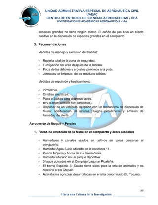 UNIDAD ADMINISTRATIVA ESPECIAL DE AERONAUTICA CIVIL 
UAEAC 
CENTRO DE ESTUDIOS DE CIENCIAS AERONAUTICAS - CEA 
INVESTIGACIONES ACADÉMICAS AERONÁUTICAS - IAA 
especies grandes no tiene ningún efecto. El cañón de gas tuvo un efecto 
positivo en la dispersión de especies grandes en el aeropuerto. 
 Pirotecnia. 
 Cintillas eléctricas. 
 Púas o Spikes para dispersar aves. 
 Bird Banger (pistola con cartuchos). 
 Disponer de un vehículo equipado con un mecanismo de dispersión de 
fauna; combinación de sirenas, fuegos pirotécnicos y emisión de 
llamados de alerta. 
 Humedales y canales usados en cultivos en zonas cercanas al 
59 
3. Recomendaciones 
Medidas de manejo y exclusión del hábitat: 
 Rocería total de la zona de seguridad. 
 Fumigación del área después de la rocería. 
 Poda de los árboles y arbustos próximos a la pista. 
 Jornadas de limpieza de los residuos sólidos. 
Medidas de repulsión y hostigamiento: 
Aeropuerto de Ibagué – Perales 
1. Focos de atracción de la fauna en el aeropuerto y áreas aledañas 
Hacia una Cultura de la Investigación 
aeropuerto. 
 Humedal Agua Sucia ubicado en la cabecera 14. 
 Puerto Mojarra y fincas de los alrededores. 
 Humedal ubicado en un parque deportivo. 
 3 lagos ubicados en el Complejo Lagunar Picaleña. 
 El barrio Especial El Salado tiene sitios para la cría de animales y es 
cercano al río Chipalo. 
 Actividades agrícolas desarrolladas en el sitio denominado EL Totumo. 
 