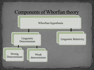 Whorfian hypothesis
Linguistic
Determinism
Strong
Determinism
Weak
determinism
Linguistic Relativity
 
