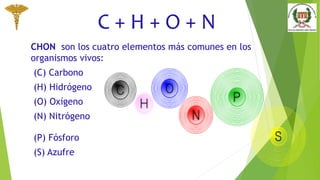 A1-1 Estructura anatómica del ser humano.pptx