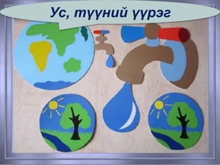 Ус, түүний үүрэг
 