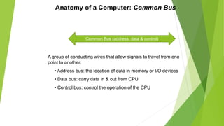 Anatomy of a Computer: Common Bus
A group of conducting wires that allow signals to travel from one
point to another:
• Address bus: the location of data in memory or I/O devices
• Data bus: carry data in & out from CPU
• Control bus: control the operation of the CPU
Common Bus (address, data & control)
 