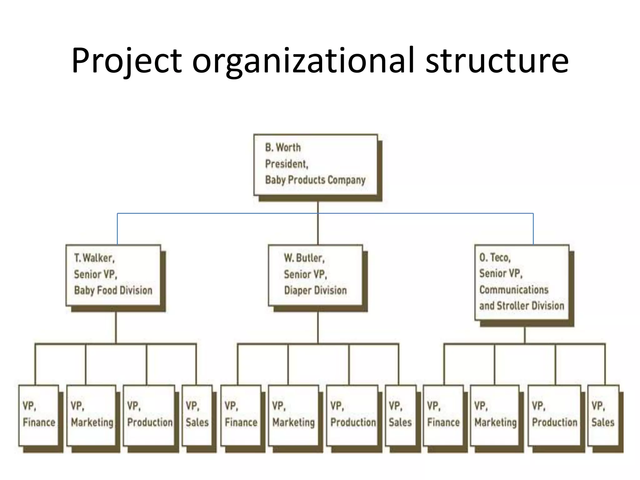 Project organizational structure
