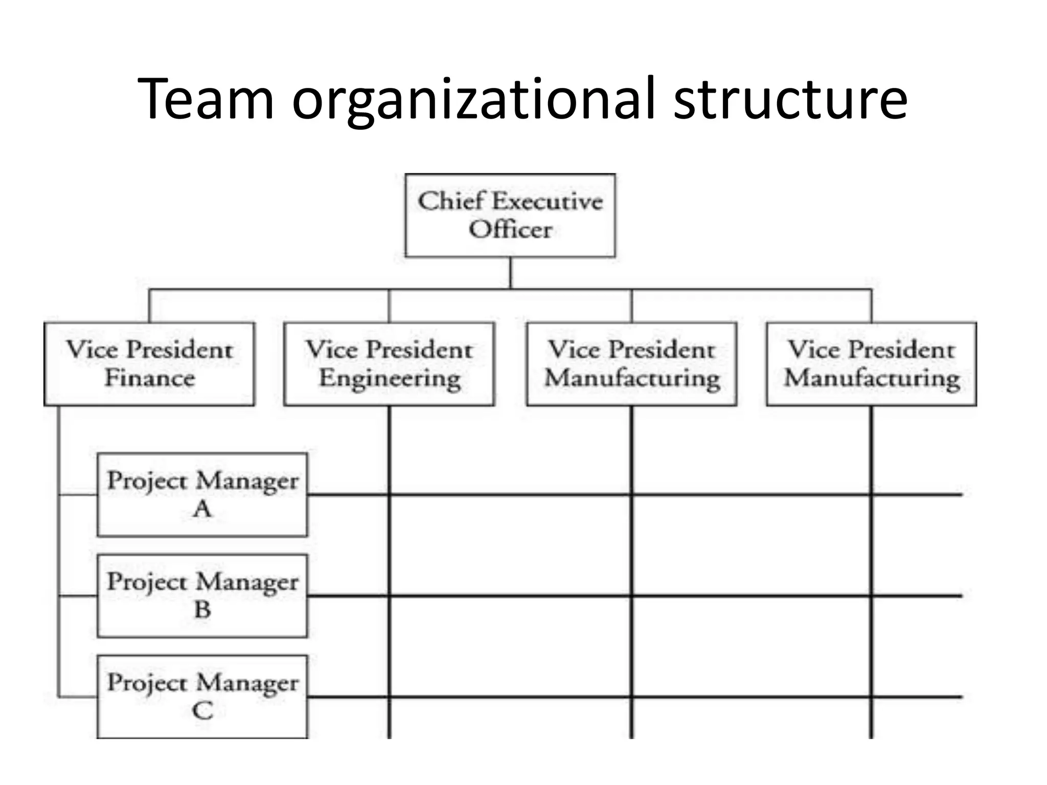 Team organizational structure