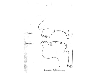  lenguaje oratoria y dicción herramientas practicas tips, consejos y ejercicios vocalizacion