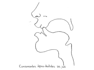  lenguaje oratoria y dicción herramientas practicas tips, consejos y ejercicios vocalizacion