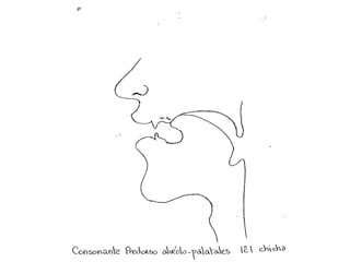  lenguaje oratoria y dicción herramientas practicas tips, consejos y ejercicios vocalizacion