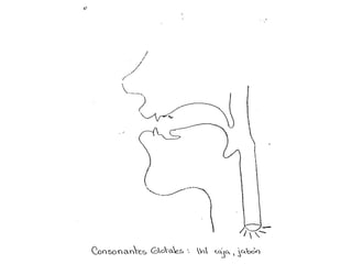  lenguaje oratoria y dicción herramientas practicas tips, consejos y ejercicios vocalizacion