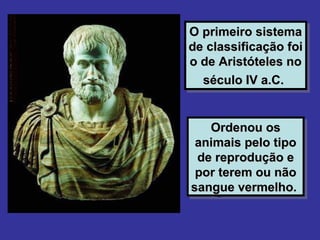 O primeiro sistema
O primeiro sistema
de classificação foi
de classificação foi
o de Aristóteles no
 o de Aristóteles no
   século IV a.C.
   século IV a.C.


   Ordenou os
    Ordenou os
 animais pelo tipo
 animais pelo tipo
 de reprodução e
  de reprodução e
 por terem ou não
 por terem ou não
sangue vermelho.
sangue vermelho.
 