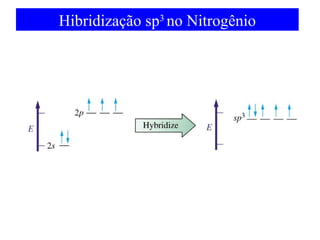 Hibridização sp3 no Nitrogênio

 