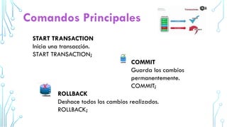 Que son las Transacciones y como Aplicarlas | PPTX