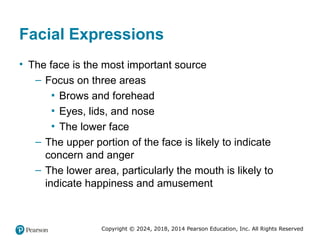 Copyright © 2024, 2018, 2014 Pearson Education, Inc. All Rights Reserved
Facial Expressions
• The face is the most important source
– Focus on three areas
▪ Brows and forehead
▪ Eyes, lids, and nose
▪ The lower face
– The upper portion of the face is likely to indicate
concern and anger
– The lower area, particularly the mouth is likely to
indicate happiness and amusement
 