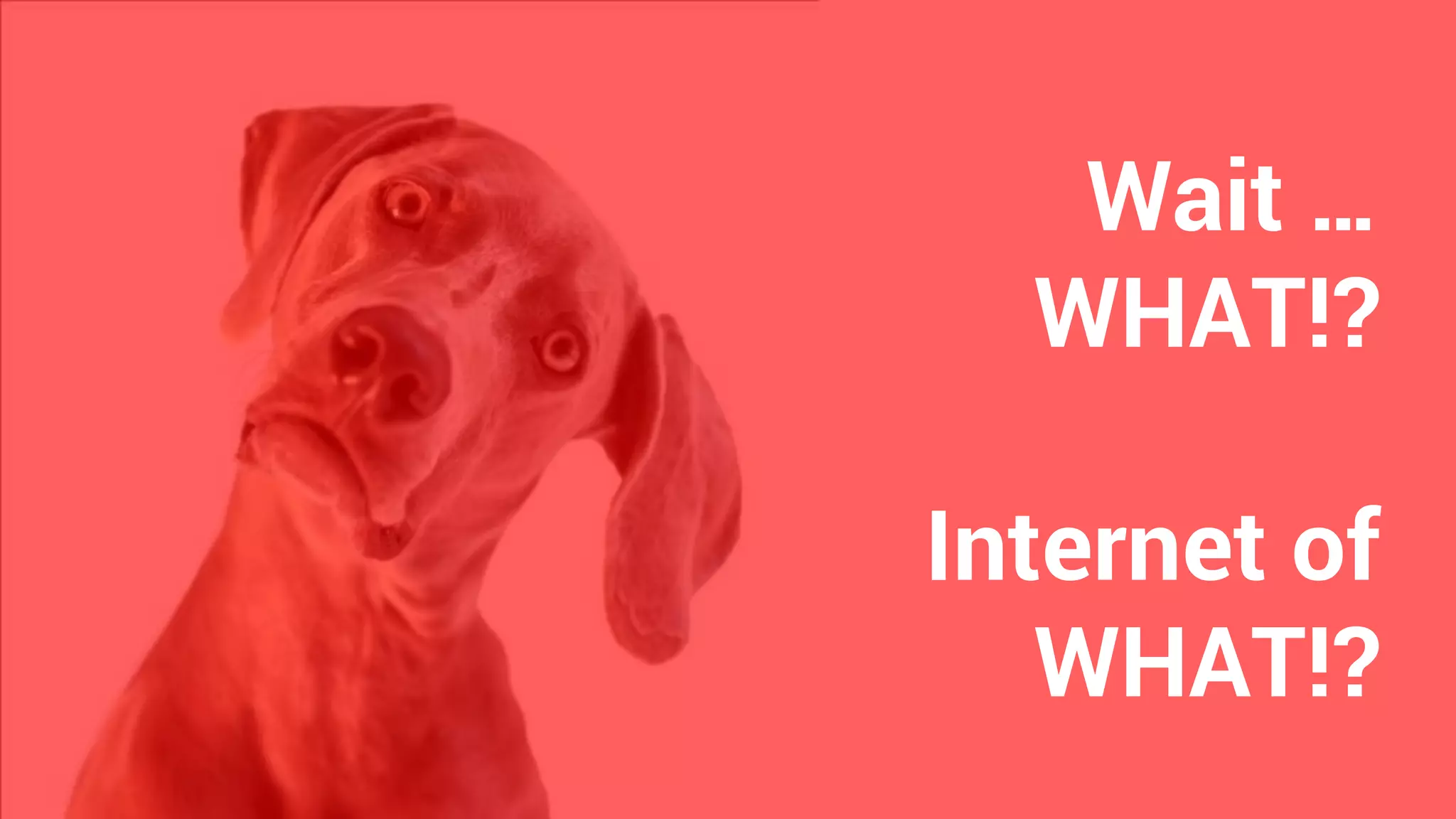 Wait …
WHAT!?
Internet of
WHAT!?
 