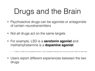 Drugs and the Brain
• Psychoactive drugs can be agonists or antagonists
of certain neurotransmitters
• Not all drugs act on the same targets
• For example, LSD is a serotonin agonist and
methamphetamine is a dopamine agonist!
• In reality, it’s a little more complicated than that—if you’re interested in learning more, shoot me an email or talk to me after class
• Users report different experiences between the two
drugs
 