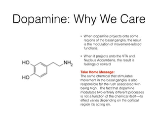 Dopamine: Why We Care
• When dopamine projects onto some
regions of the basal ganglia, the result
is the modulation of movement-related
functions.
• When it projects onto the VTA and
Nucleus Accumbens, the result is
feelings of reward
Take Home Message: 
The same chemical that stimulates
movement in the basal ganglia is also
responsible for the rush associated with
being high. The fact that dopamine
modulates two entirely different processes
is not a function of the chemical itself—its
effect varies depending on the cortical
region it’s acting on.
 