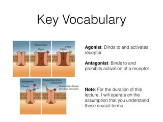 Key Vocabulary
Agonist: Binds to and activates
receptor
Antagonist: Binds to and
prohibits activation of a receptor
!
Note: For the duration of this
lecture, I will operate on the
assumption that you understand
these crucial terms
 